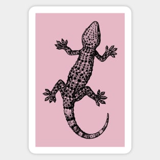 Gecko Illustration Sticker